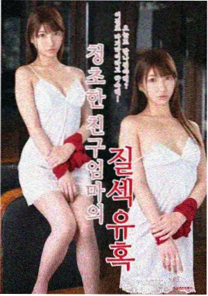 日版花样男子2005剧集封面
